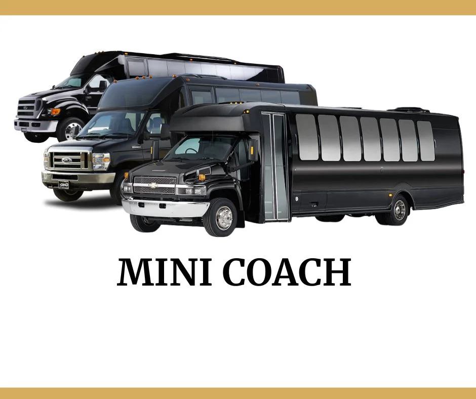 mini coach